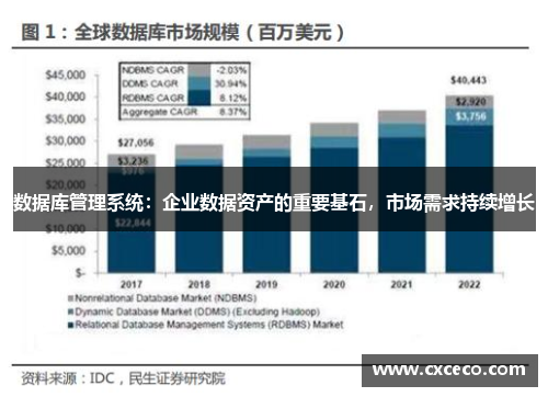 数据库管理系统：企业数据资产的重要基石，市场需求持续增长